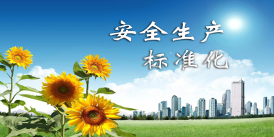 什么是安全生產標準化？